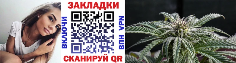 Наркотические вещества Колпашево ГАШИШ  МЕТАДОН  Меф  Псилоцибиновые грибы  Каннабис  APVP  КОКАИН 